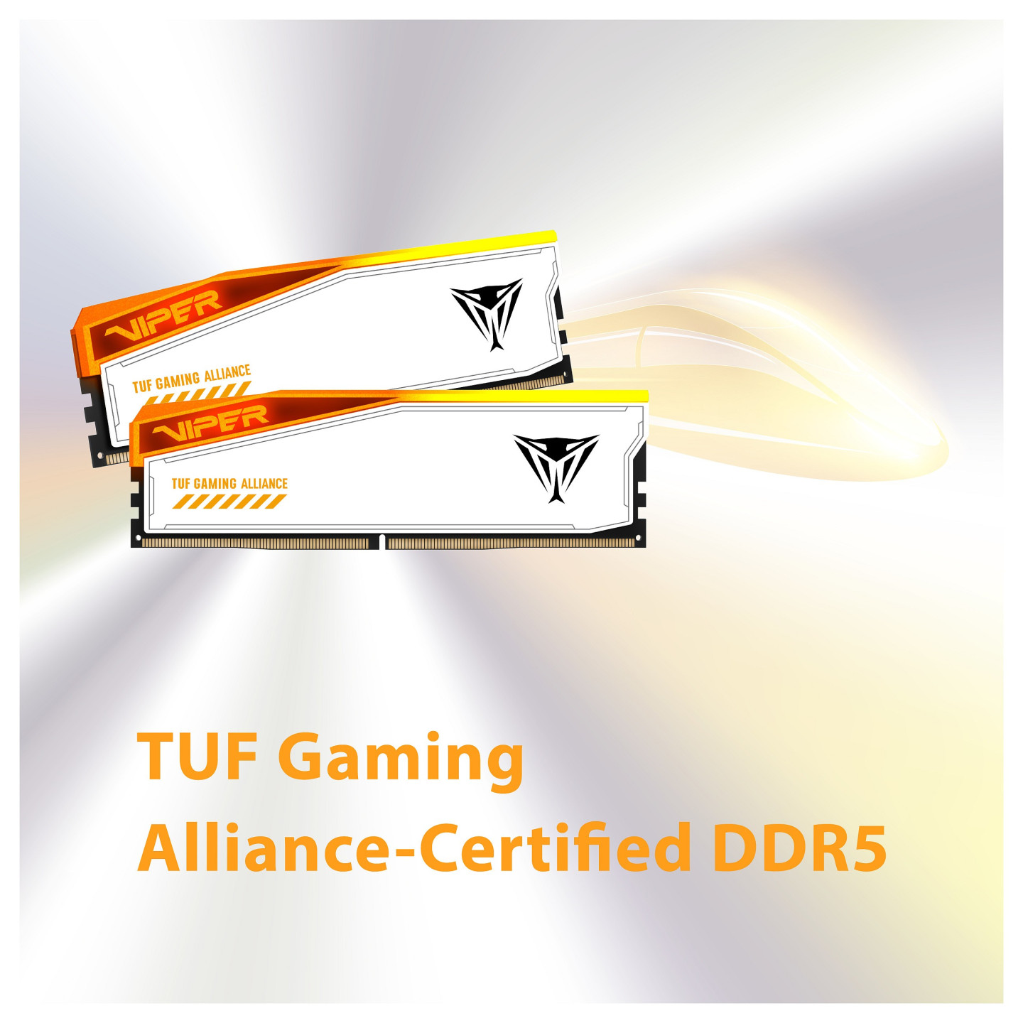 48GB Patriot Memory PC6600 (2x24) Viper Elite 5 TUF Gaming RGB — Buy in Cyprus with Fast Delivery