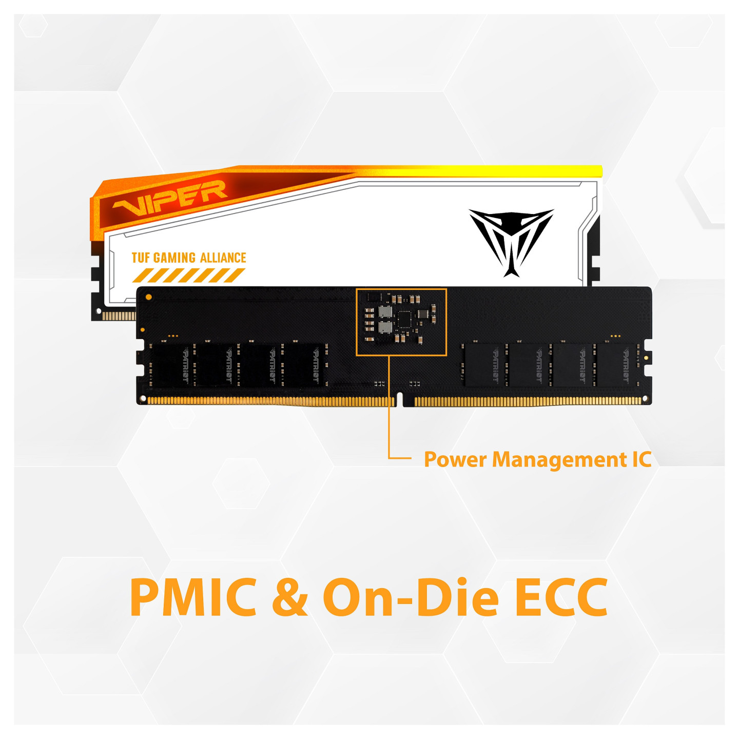 48GB Patriot Memory PC6600 (2x24) Viper Elite 5 TUF Gaming RGB — Buy in Cyprus with Fast Delivery
