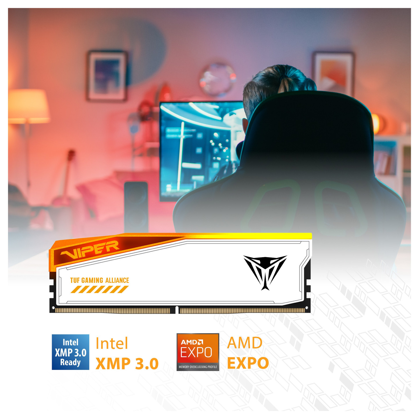 48GB Patriot Memory PC6600 (2x24) Viper Elite 5 TUF Gaming RGB — Buy in Cyprus with Fast Delivery