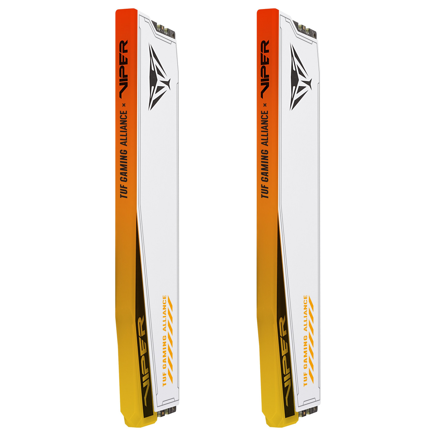 48GB Patriot Memory PC6600 (2x24) Viper Elite 5 TUF Gaming RGB — Buy in Cyprus with Fast Delivery