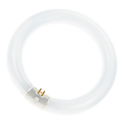 Ringform L 40W 840 C G10Q Neutralweiss T9 — Buy in Cyprus with Fast Delivery