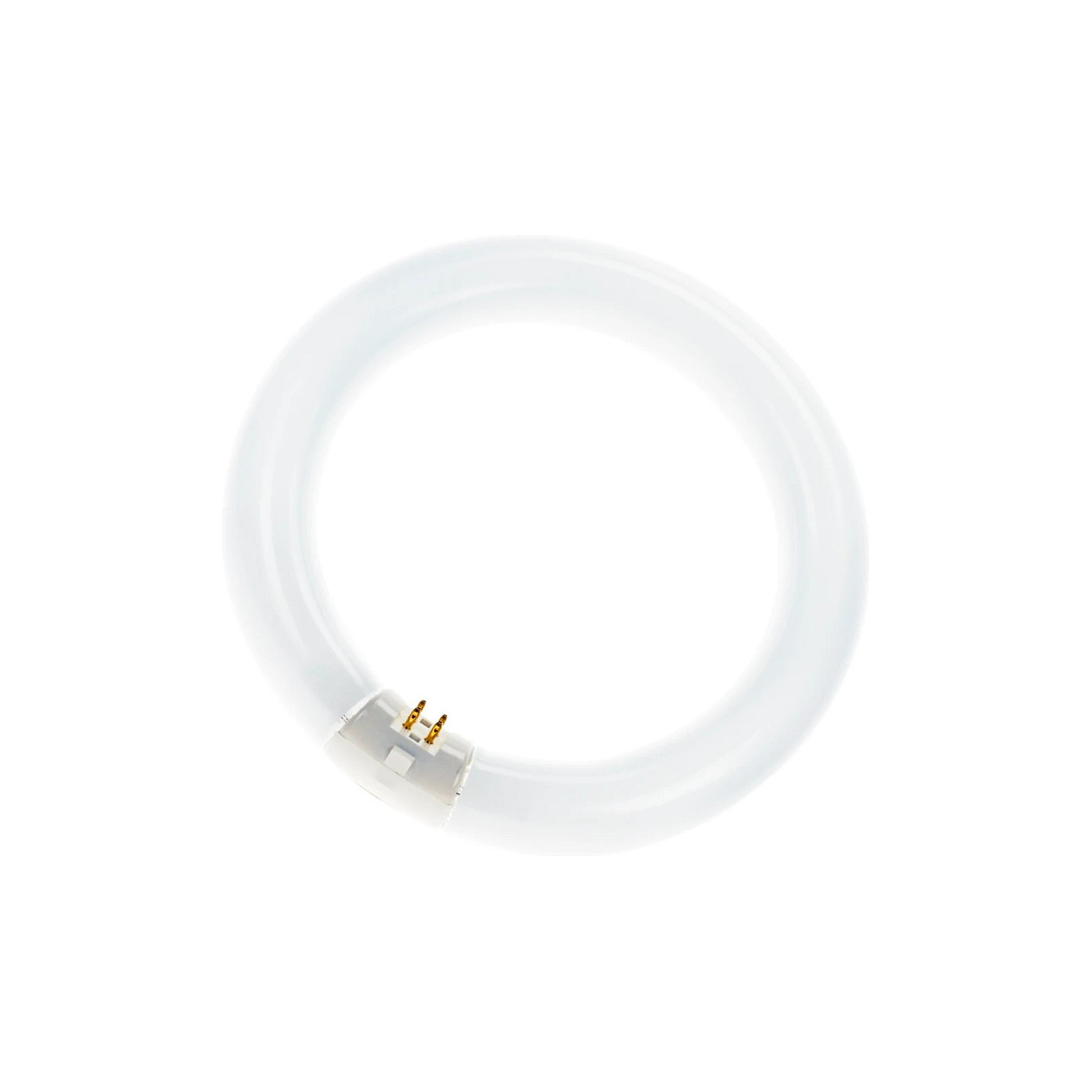 Ringform L 40W 840 C G10Q Neutralweiss T9 — Buy in Cyprus with Fast Delivery