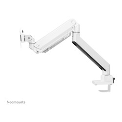 Neomounts NM-D775WHITEPLUS Tischhalterung für curved Bildschirme bis 49' (124 cm) - Weiß — Buy in Cyprus with Fast Delivery
