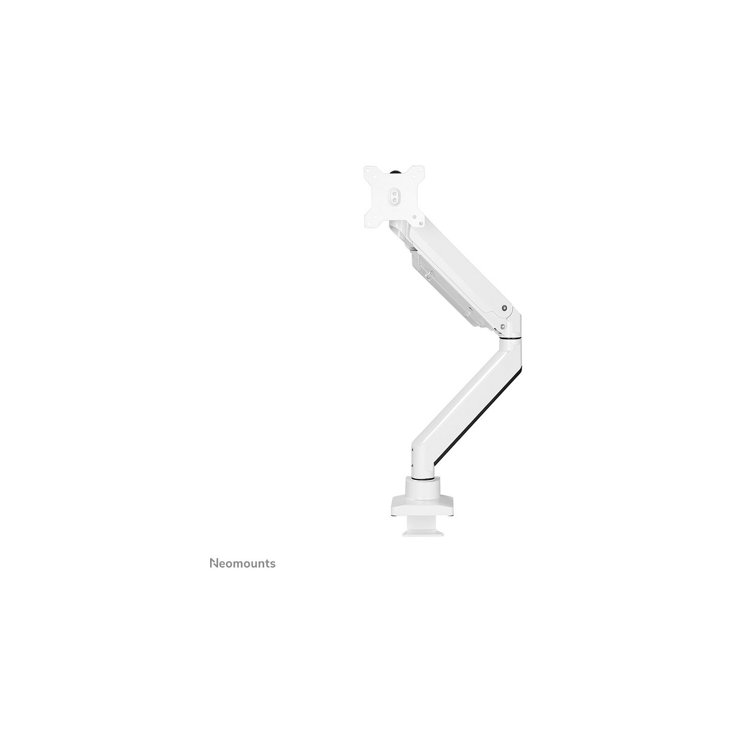 Neomounts NM-D775WHITEPLUS Tischhalterung für curved Bildschirme bis 49' (124 cm) - Weiß — Buy in Cyprus with Fast Delivery