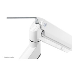 Neomounts NM-D775WHITEPLUS Tischhalterung für curved Bildschirme bis 49' (124 cm) - Weiß — Buy in Cyprus with Fast Delivery