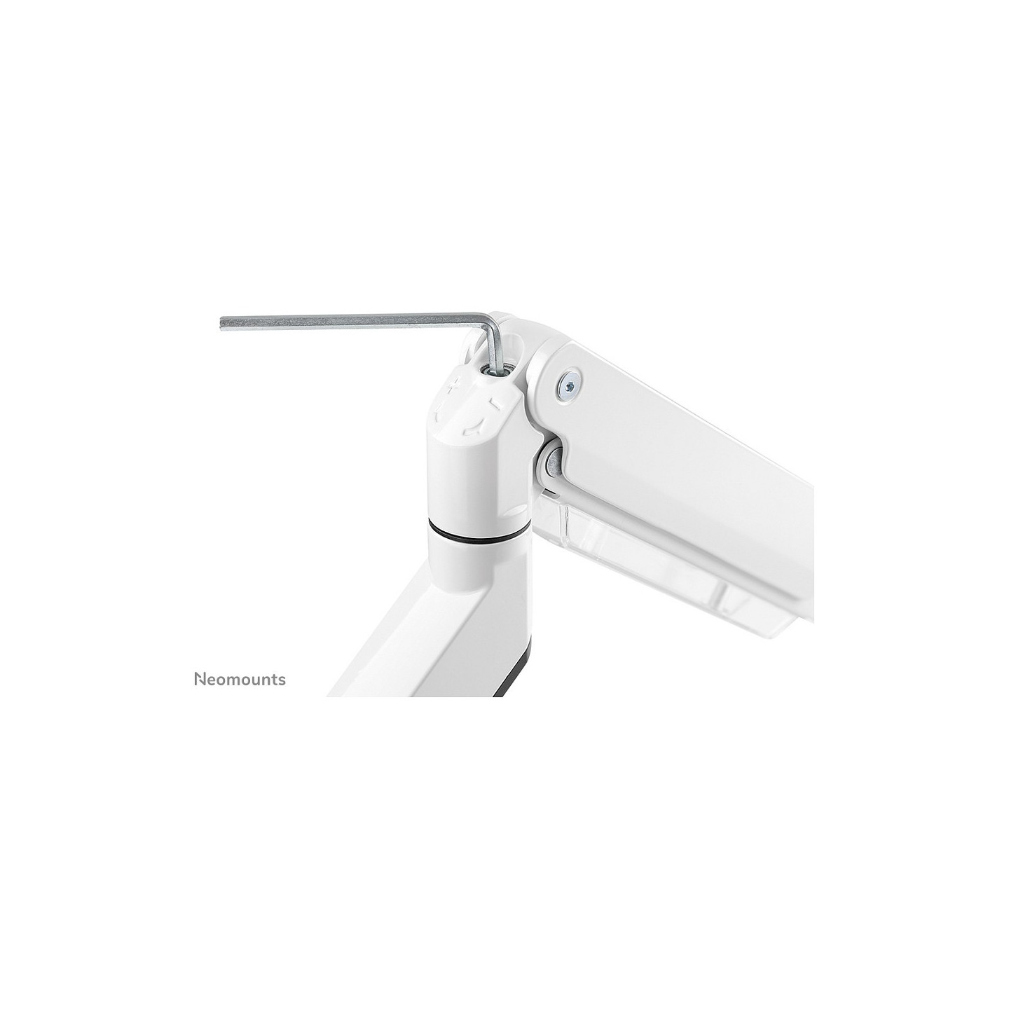 Neomounts NM-D775WHITEPLUS Tischhalterung für curved Bildschirme bis 49' (124 cm) - Weiß — Buy in Cyprus with Fast Delivery