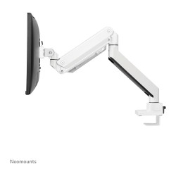Neomounts NM-D775WHITEPLUS Tischhalterung für curved Bildschirme bis 49' (124 cm) - Weiß — Buy in Cyprus with Fast Delivery
