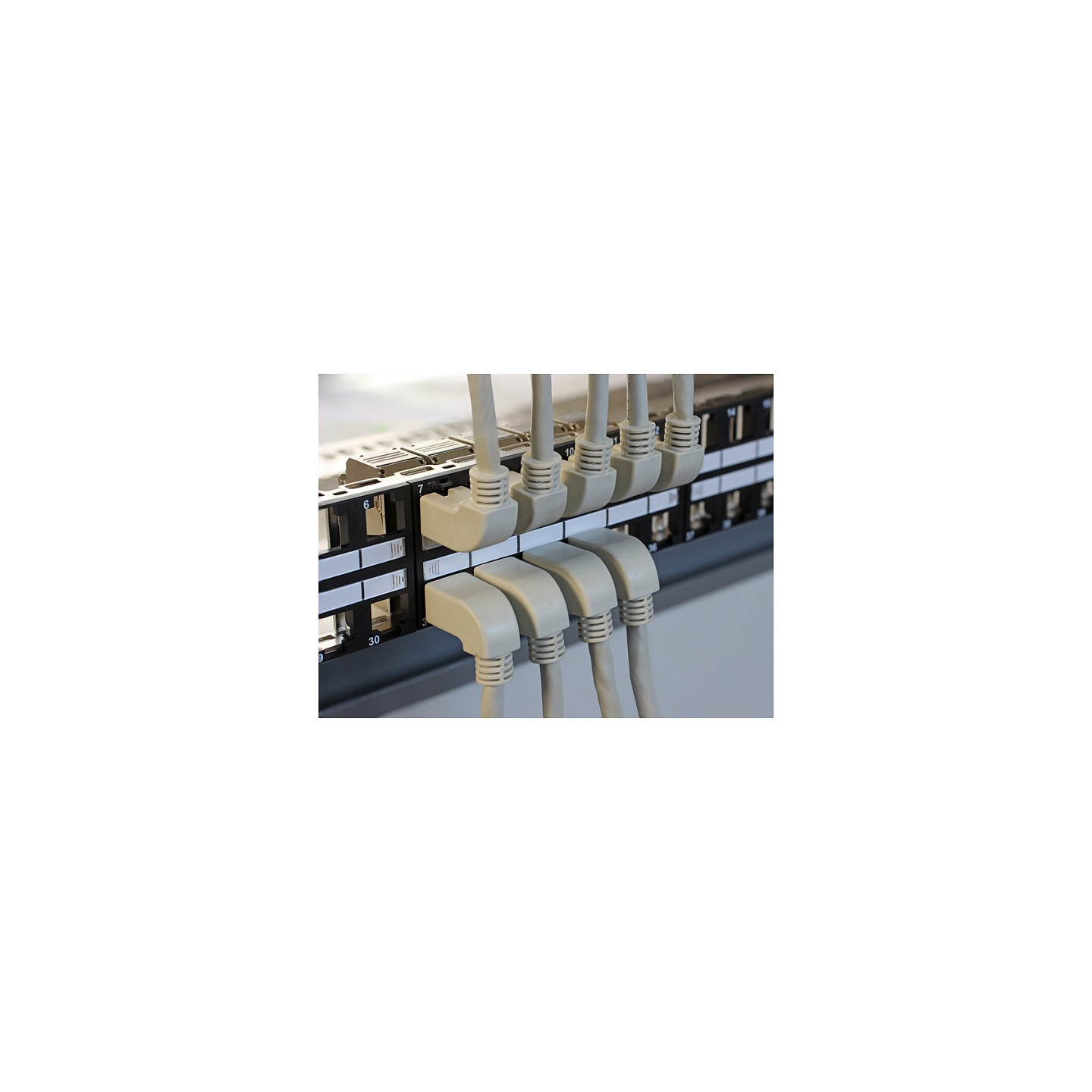 DeLock Keystone 19 Patchpanel 48 Port 1 — Buy in Cyprus with Fast Delivery