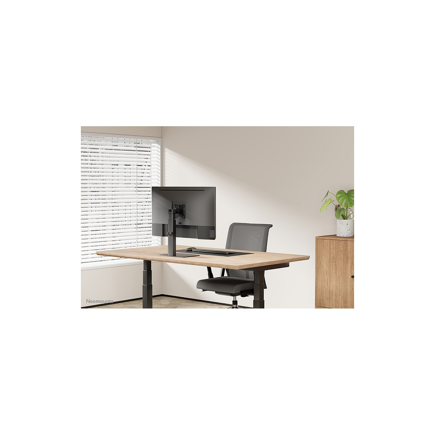 Neomounts FPMA-D865BLACK Tischhalterung für Flachbildschirme bis 32' (81 cm). — Buy in Cyprus with Fast Delivery