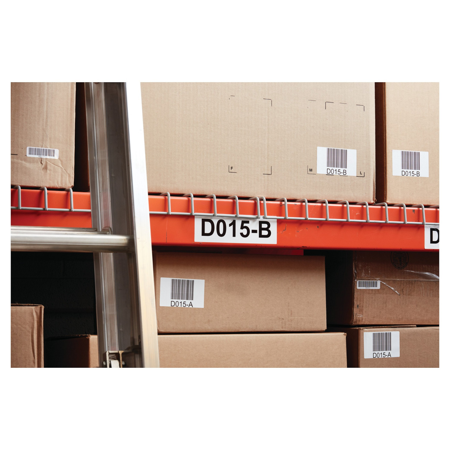 Dymo LabelWriter 5XL Etikettendrucker USB LAN — Buy in Cyprus with Fast Delivery