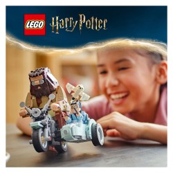 LEGO Harry Potter Hagrids und Harrys Motorradtour 76443 — Buy in Cyprus with Fast Delivery