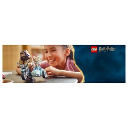 LEGO Harry Potter Hagrids und Harrys Motorradtour 76443 — Buy in Cyprus with Fast Delivery