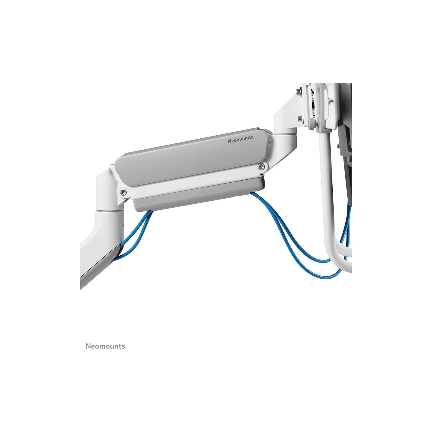 Neomounts Full Motion Tischhalterung für zwei Flachbildschirme 17-32'' 7KG 2x 8KG White — Buy in Cyprus with Fast Delivery