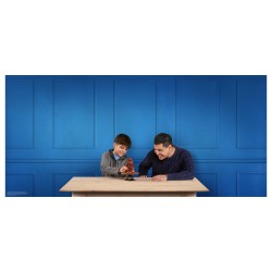 LEGO Harry Potter Der Sprechende Hut 76429 — Buy in Cyprus with Fast Delivery