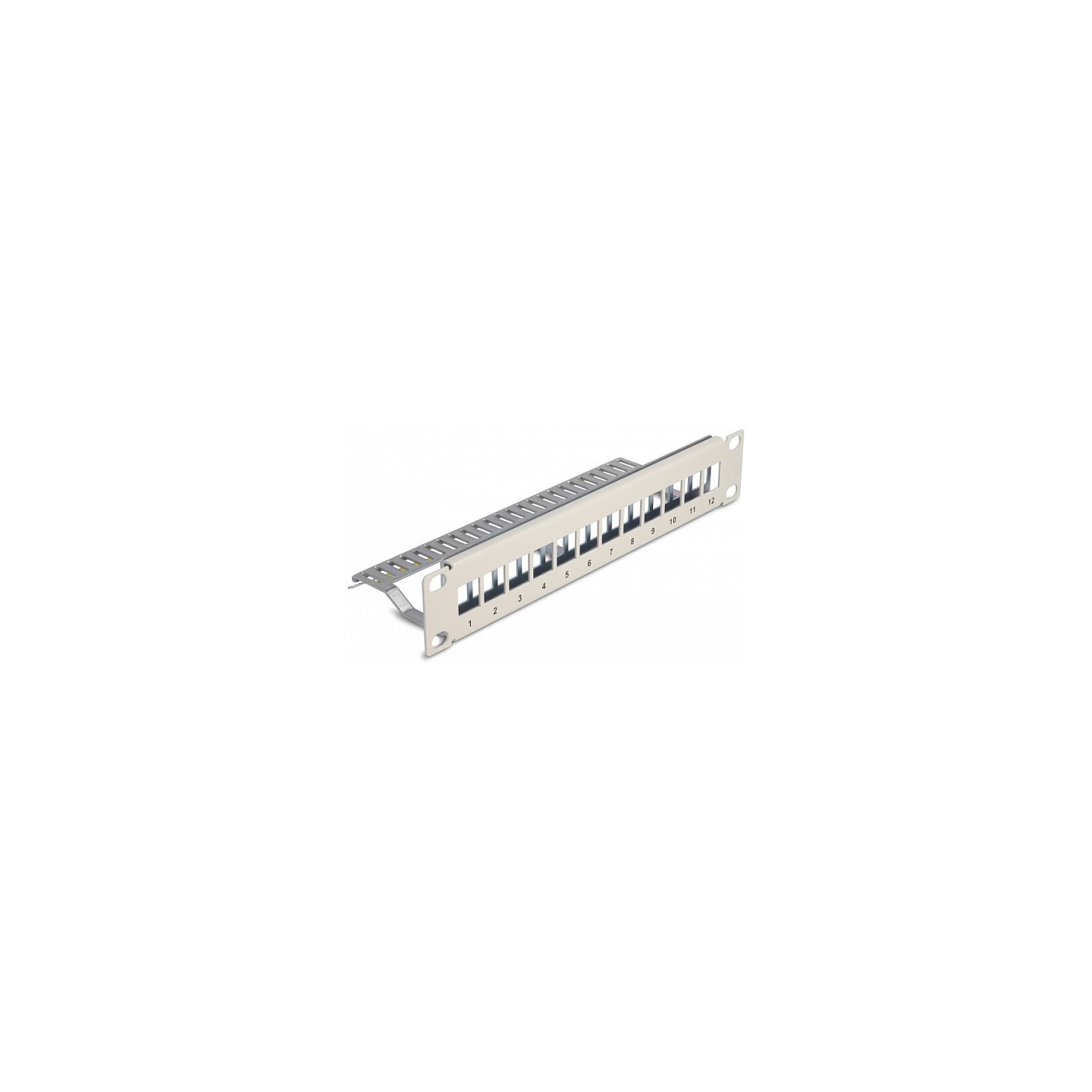 Delock 10? Keystone Patchpanel 12 Port mit Entlastungsschiene 1 HE grau — Buy in Cyprus with Fast Delivery