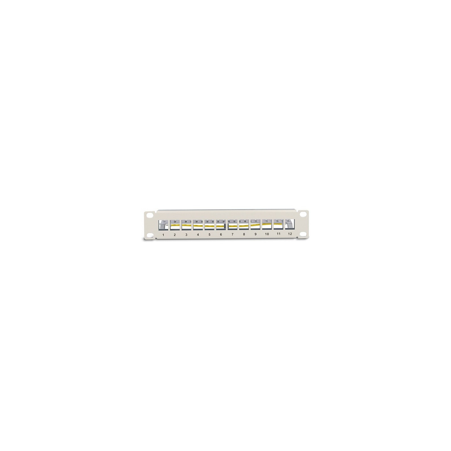 Delock 10? Keystone Patchpanel 12 Port mit Entlastungsschiene 1 HE grau — Buy in Cyprus with Fast Delivery