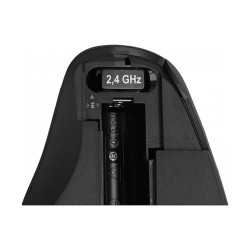 Delock Ergonomische USB Maus - kabellos — Buy in Cyprus with Fast Delivery