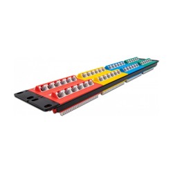 Delock 19? Patchpanel 48 Port Cat.5e 2 HE farbig — Buy in Cyprus with Fast Delivery
