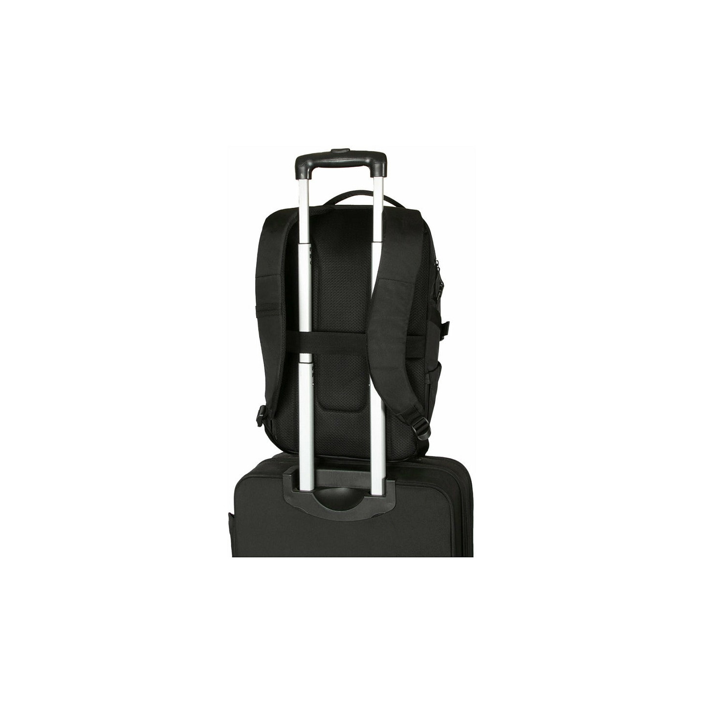 TARGUS TERRA BACKPACK - BLACK — Buy in Cyprus with Fast Delivery
