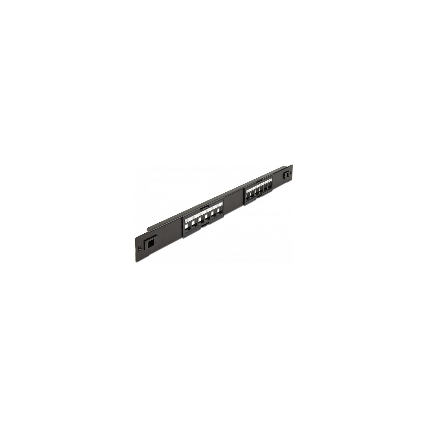 Delock 19? Keystone Patchpanel 12 Port werkzeugfrei — Buy in Cyprus with Fast Delivery
