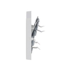 BUSCH JAEGER BJ 1789-84 Abdeck.f.Aus-Wechsel-Kreuz- Kontroll-Schalter future linear sws — Buy in Cyprus with Fast Delivery