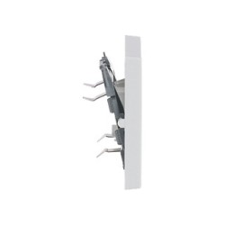 BUSCH JAEGER BJ 1789-84 Abdeck.f.Aus-Wechsel-Kreuz- Kontroll-Schalter future linear sws — Buy in Cyprus with Fast Delivery