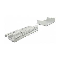 Delock Keystone Patchpanel 12 Port grau — Buy in Cyprus with Fast Delivery