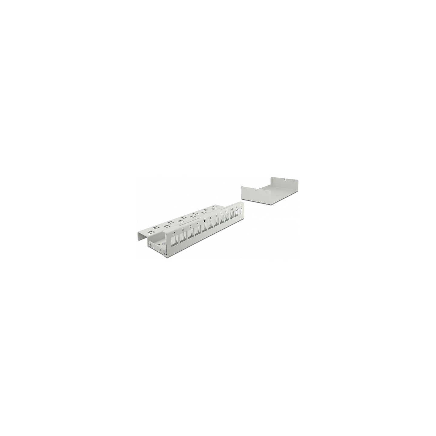 Delock Keystone Patchpanel 12 Port grau — Buy in Cyprus with Fast Delivery