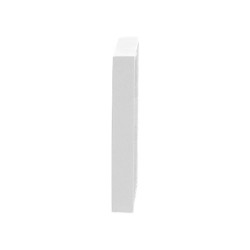 BUSCH JAEGER BJ 1721-184K Rahmen 1f future linear studioweiß — Buy in Cyprus with Fast Delivery