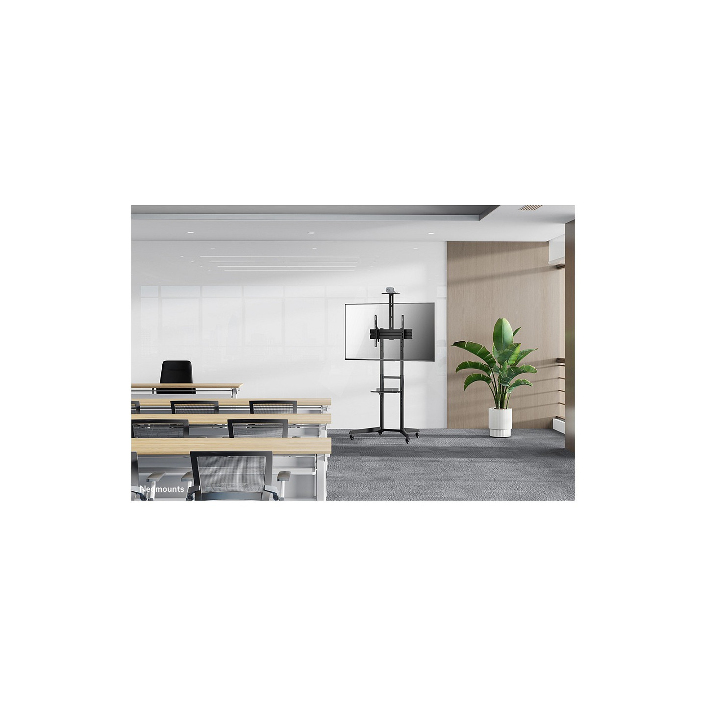 Neomounts FL50-550BL1 Bodenständer für 37-70' Bildschirme - Schwarz — Buy in Cyprus with Fast Delivery