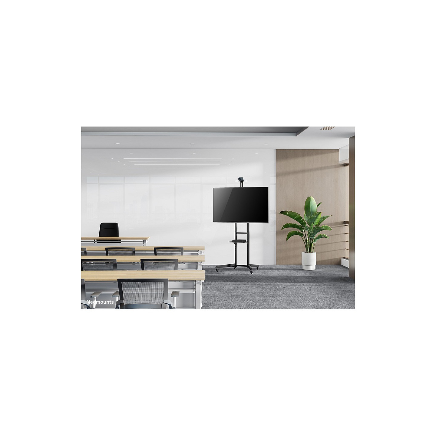 Neomounts FL50-550BL1 Bodenständer für 37-70' Bildschirme - Schwarz — Buy in Cyprus with Fast Delivery
