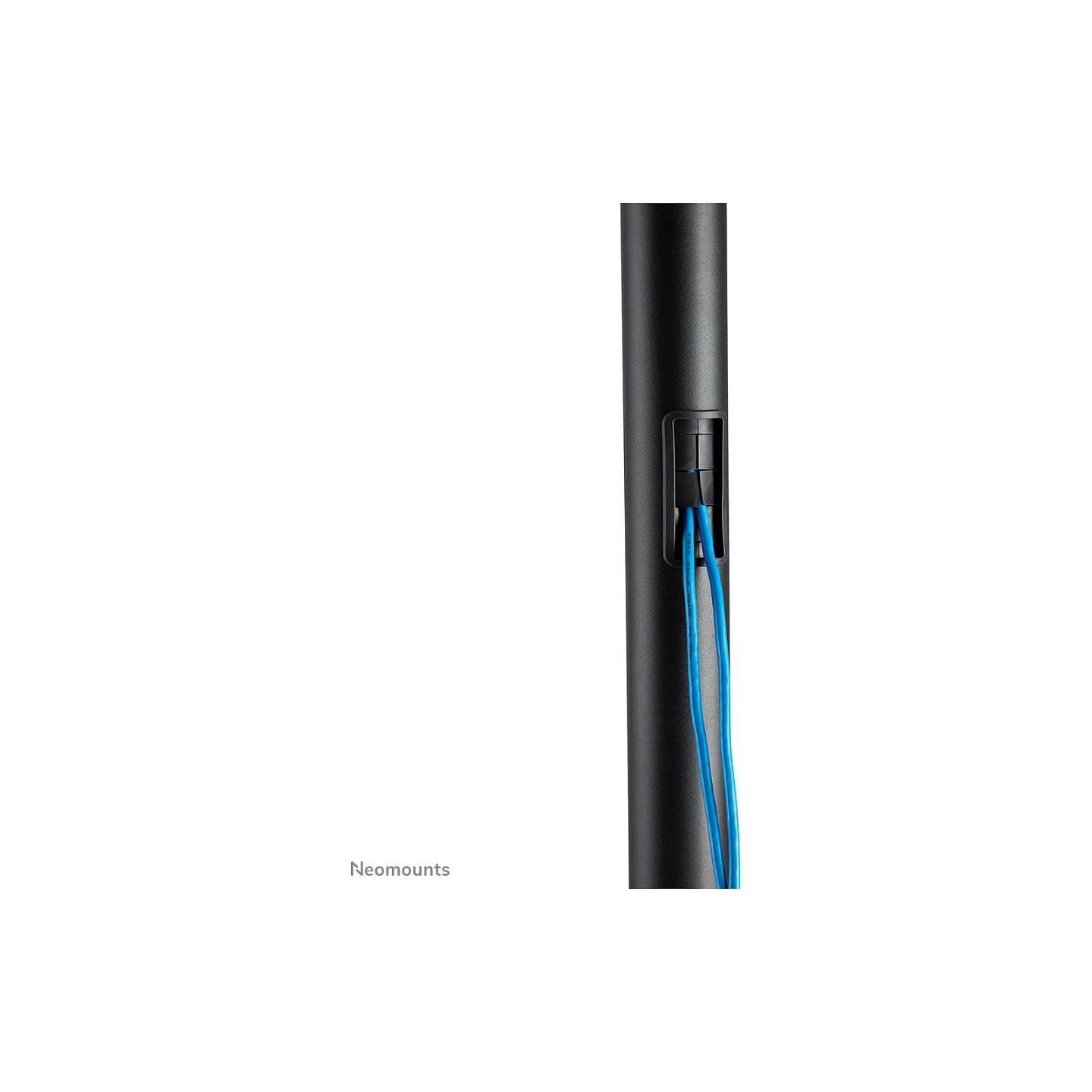 Neomounts FL50-550BL1 Bodenständer für 37-70' Bildschirme - Schwarz — Buy in Cyprus with Fast Delivery