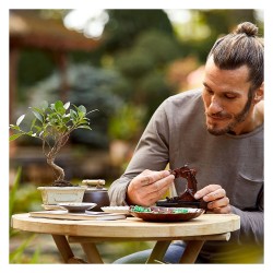 LEGO Creator Expert Bonsai Baum — Buy in Cyprus with Fast Delivery
