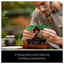 LEGO Creator Expert Bonsai Baum — Buy in Cyprus with Fast Delivery