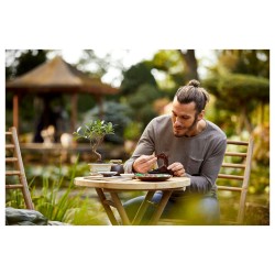 LEGO Creator Expert Bonsai Baum — Buy in Cyprus with Fast Delivery