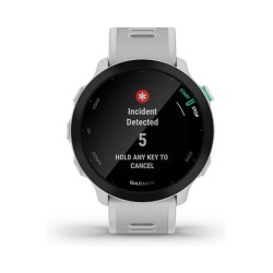 Garmin Forerunner 55 white — Buy in Cyprus with Fast Delivery