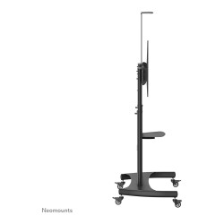 Neomounts PLASMA-M1950E mobiler Bodenständer für Flachbild-Fernseher bis 100' (254 cm). Höhenverstellbar - Schwarz
