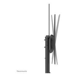 Neomounts PLASMA-M1950E mobiler Bodenständer für Flachbild-Fernseher bis 100' (254 cm). Höhenverstellbar - Schwarz