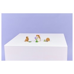 LEGO 31376 Creator 3-in-1 Niedlicher Hamster mit Blume — Buy in Cyprus with Fast Delivery