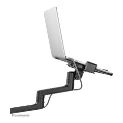 Neomounts DS20-425BL2 Tischhalterung für 17-27' Bildschirme und 11.6-17.3' Laptops - Schwarz