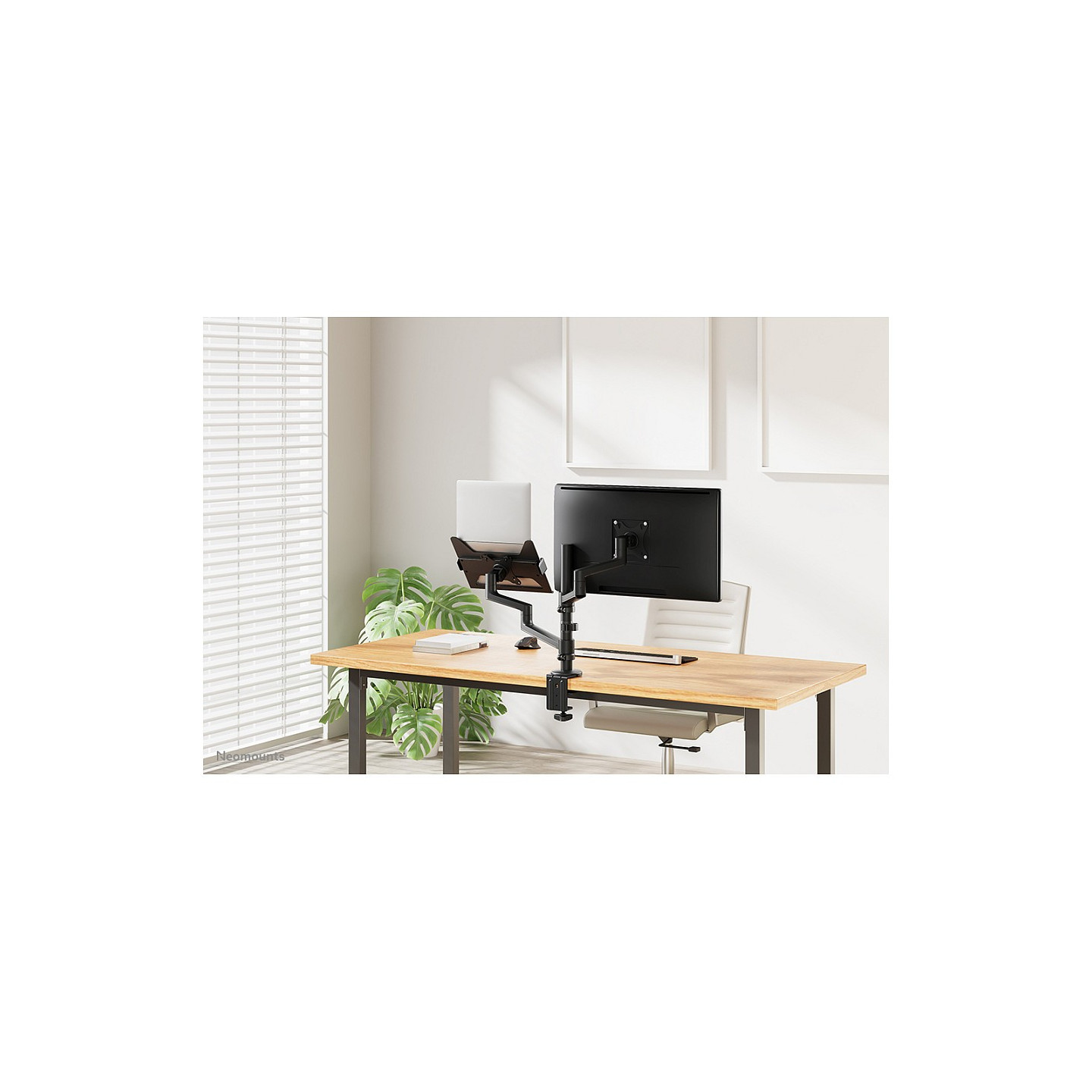 Neomounts DS20-425BL2 Tischhalterung für 17-27' Bildschirme und 11.6-17.3' Laptops - Schwarz
