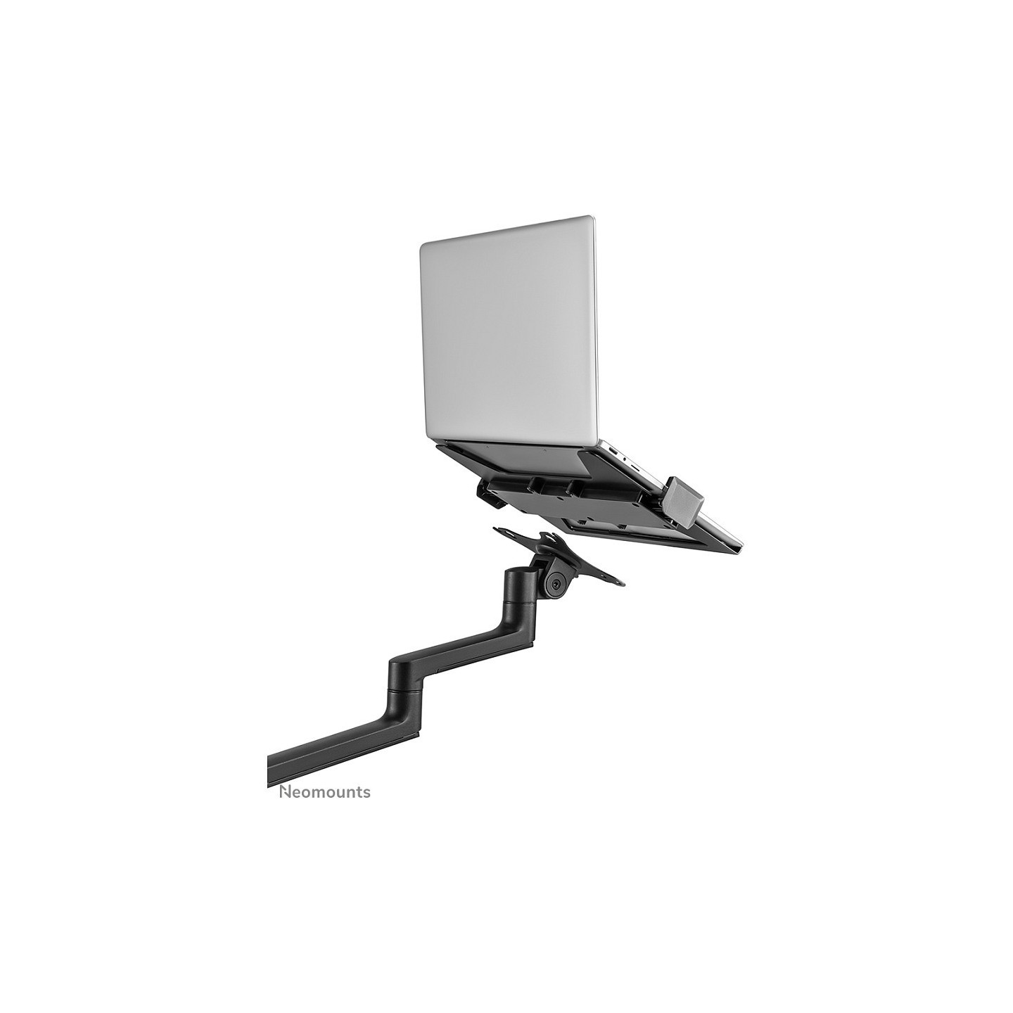Neomounts DS20-425BL2 Tischhalterung für 17-27' Bildschirme und 11.6-17.3' Laptops - Schwarz