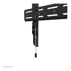Neomounts WL30S-850BL18 feste Wandhalterung für 43-98' Bildschirme - Schwarz — Buy in Cyprus with Fast Delivery