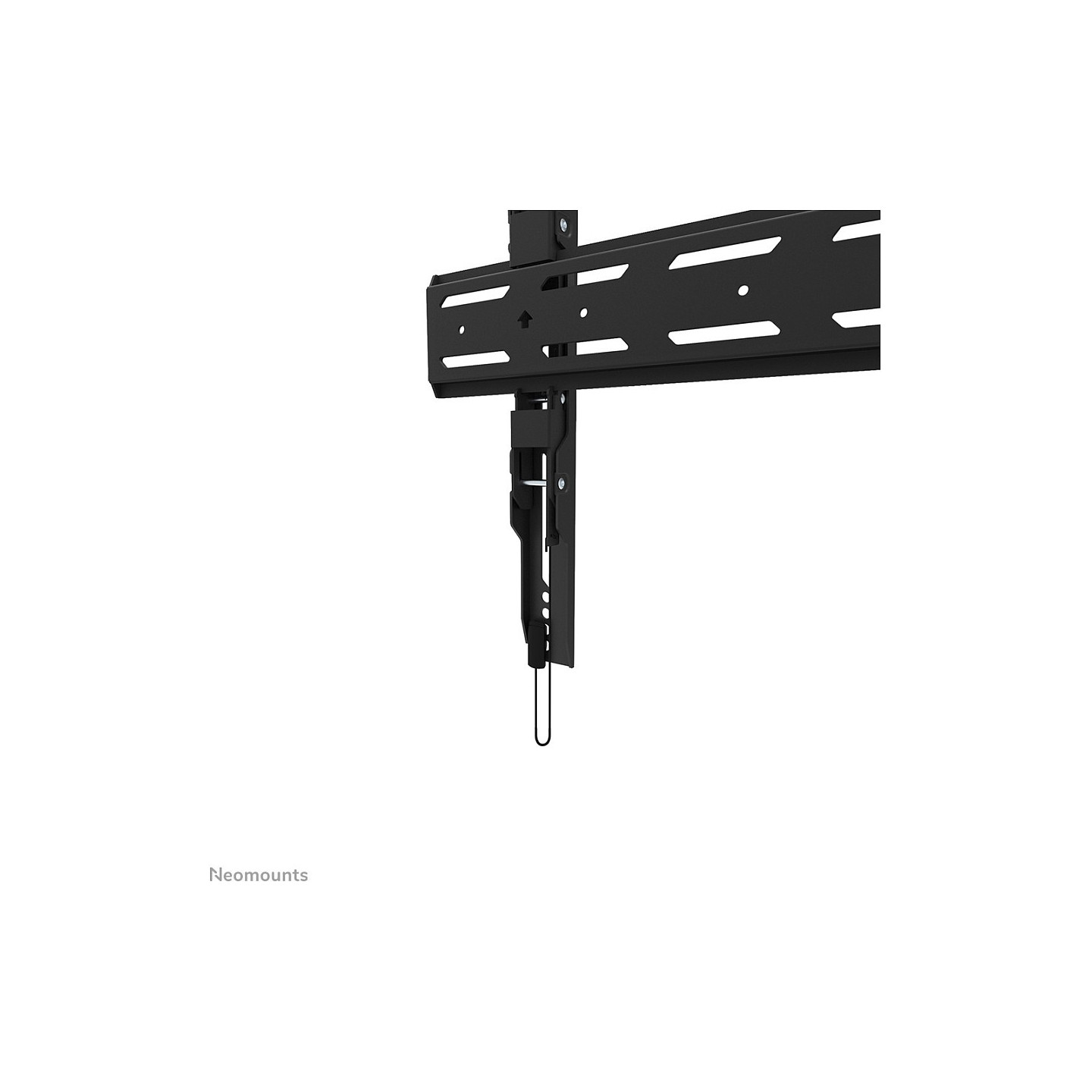 Neomounts WL30S-850BL18 feste Wandhalterung für 43-98' Bildschirme - Schwarz — Buy in Cyprus with Fast Delivery