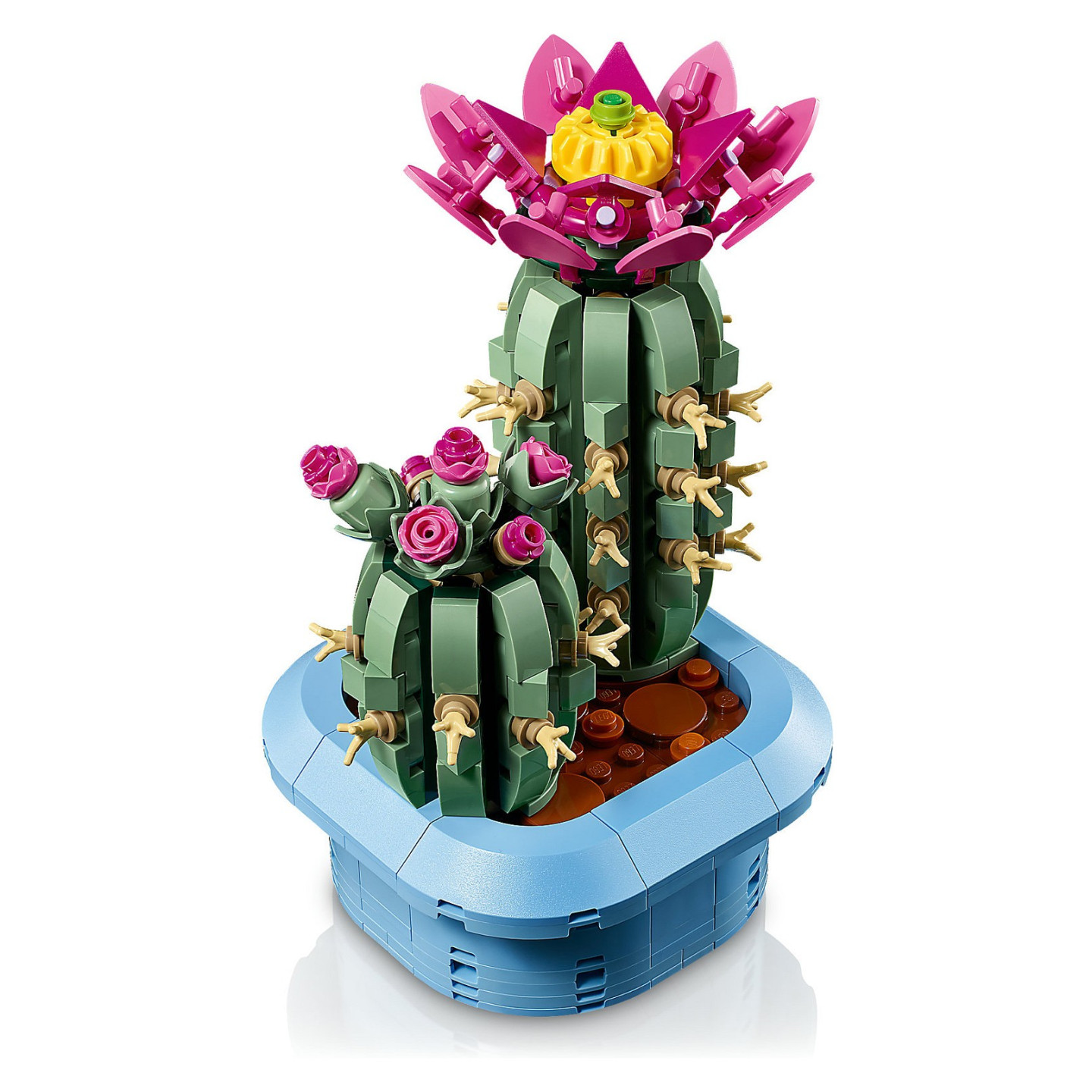 LEGO 11509 Botanicals Blhender Kaktus — Buy in Cyprus with Fast Delivery