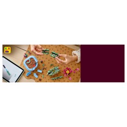 LEGO 11509 Botanicals Blhender Kaktus — Buy in Cyprus with Fast Delivery