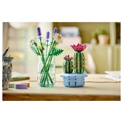 LEGO 11509 Botanicals Blhender Kaktus — Buy in Cyprus with Fast Delivery