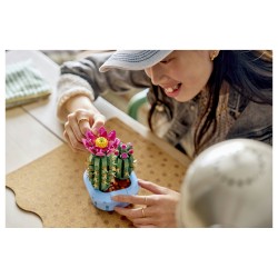 LEGO 11509 Botanicals Blhender Kaktus — Buy in Cyprus with Fast Delivery