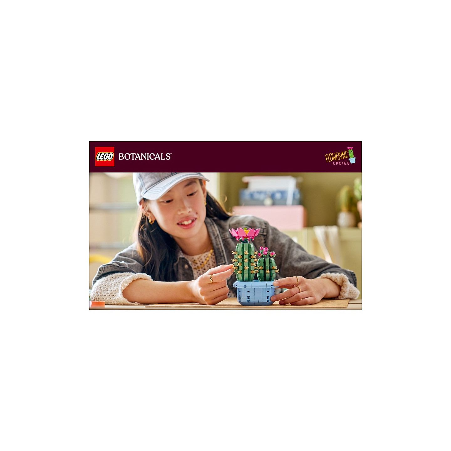 LEGO 11509 Botanicals Blhender Kaktus — Buy in Cyprus with Fast Delivery