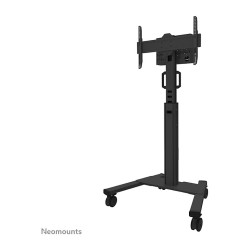 Neomounts FL50S-825BL1 Bodenständer für 37-75' Bildschirme - Schwarz — Buy in Cyprus with Fast Delivery